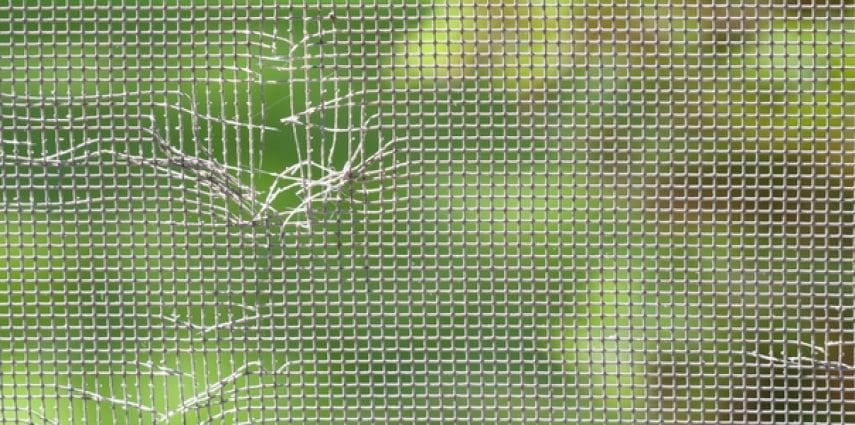 Check Your Window Screens Regularly Check Your Window Screens Regularly