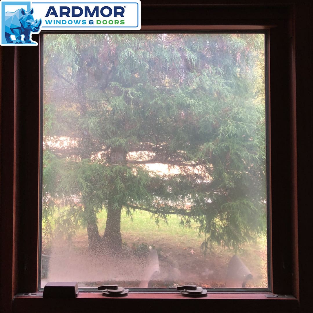 vinyl window foggy glass replacement