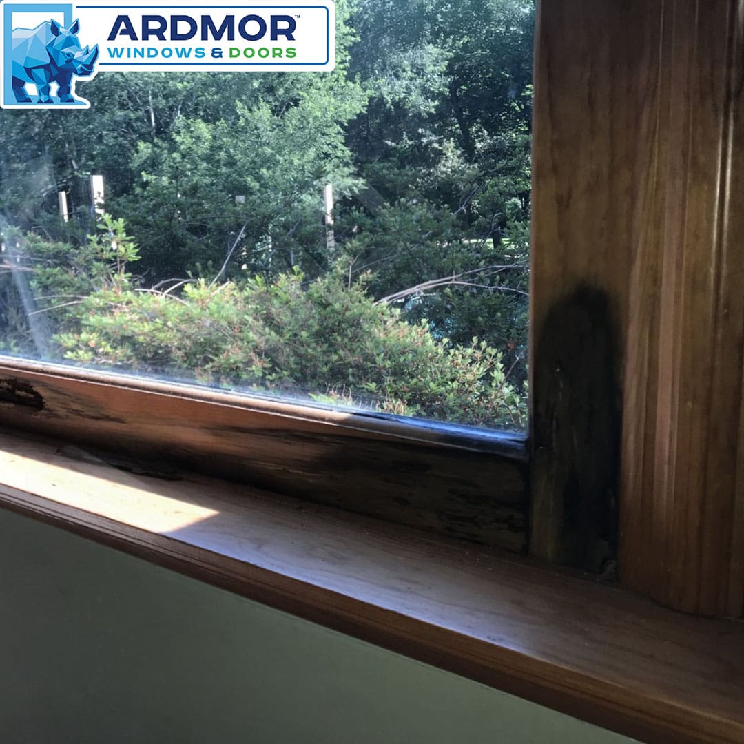 marvin window sash repair