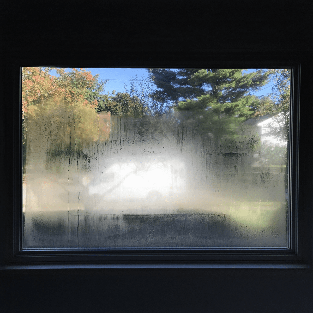 Foggy Glass Replacement