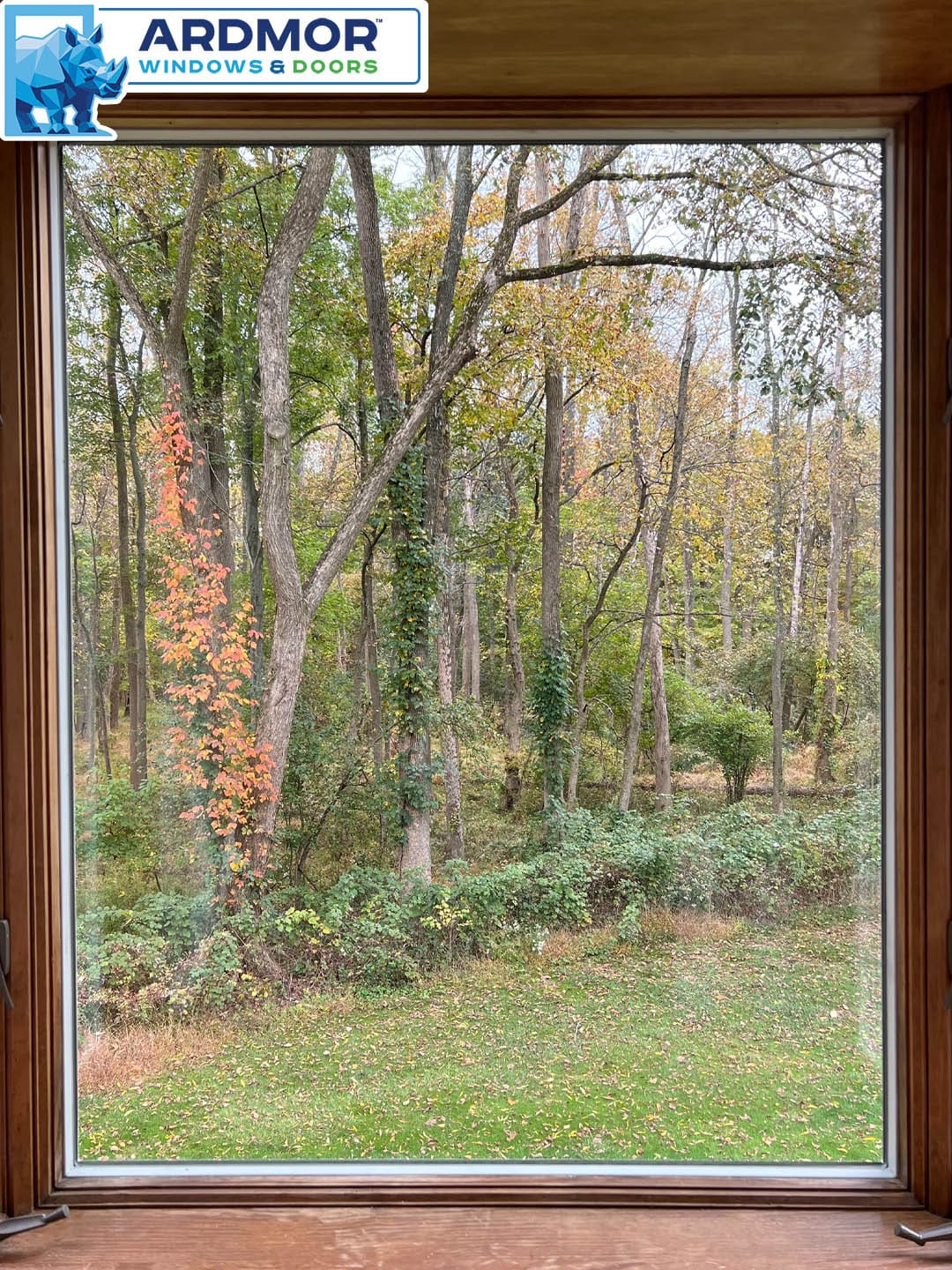 foggy_glass_replacement_in_andersen_picture_window_in_middletown_township_new_jersey_project_7313_after